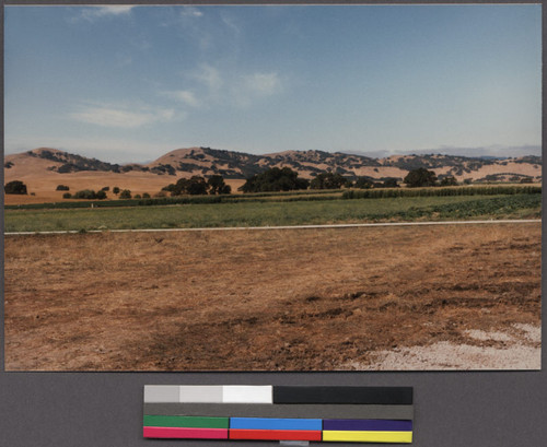 Lao farmland, Livermore, California