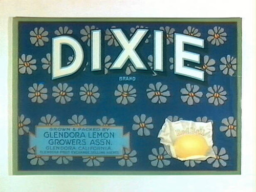 Dixie Brand