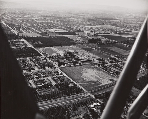 Aerial view of Citrus