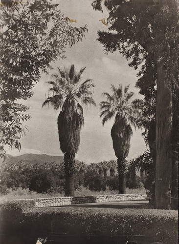 View along old Foothill Boulevard, east of Azusa, 1920s