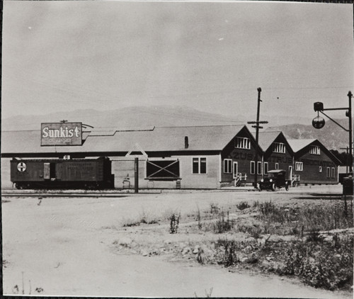 Azusa Citrus Association packing-house