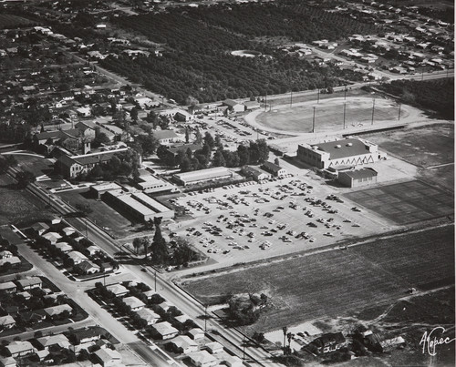 Aerial view of Citrus, 1954