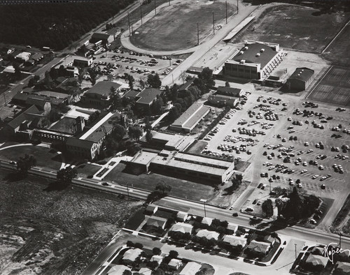 Aerial view of Citrus, 1954