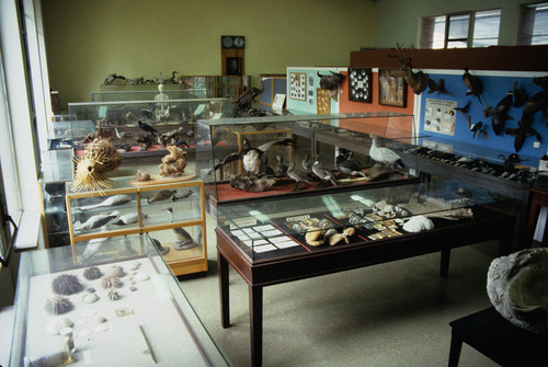 Hulbirt museum, Citrus College, 1982