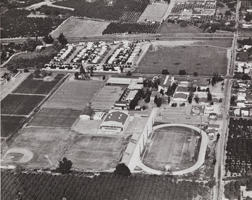 Aerial view of Citrus, 1959