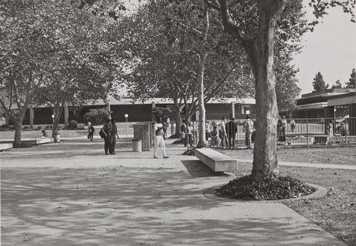 Students socializing outdoors on campus, 1986