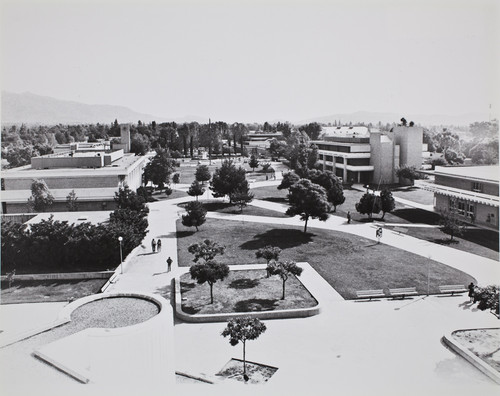 Campus view, 1981