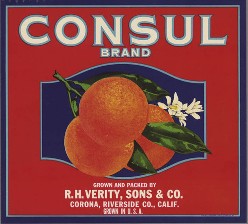 Consul