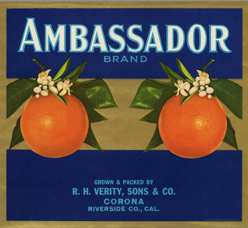 Ambassador