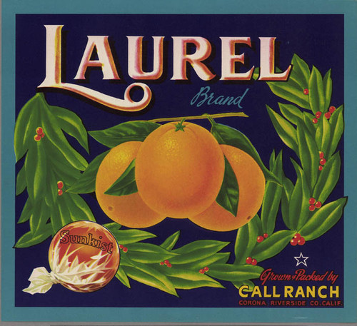 Laurel