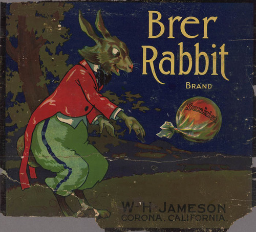 Brer Rabbit — Calisphere
