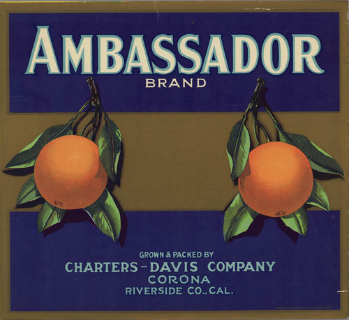 Ambassador