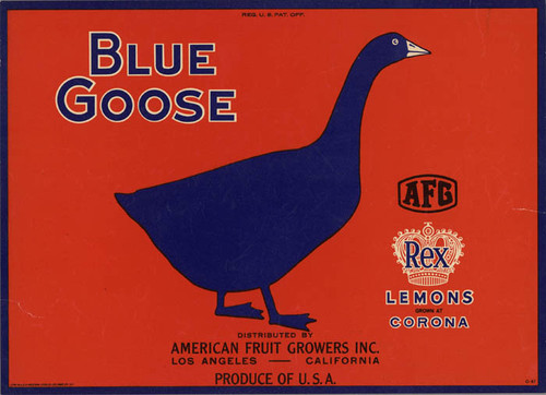 Blue Goose