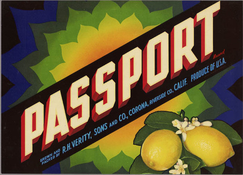 Passport