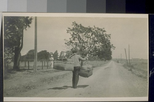 Palo Alto. Chinese laborer