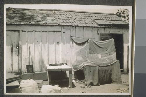 [Makeshift shelter for Indian or other South Asian farm laborer.]