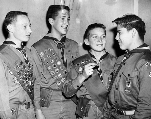 Boy Scouts win awards