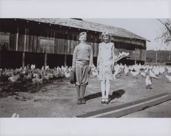 Elmer and Ruby Scott at the family chicken ranch, Bodega Avenue, Petaluma, California, in the 1930s