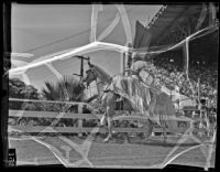Dancing horse at the Los Angeles County Fair, Pomona, 1936