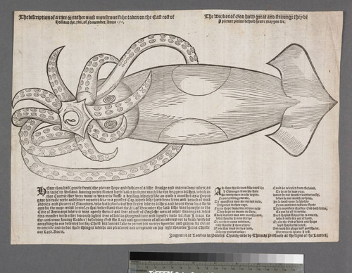 The discription of a rare or rather most monstrous fishe taken on the east cost of Holland the. xvii. of Nouember, anno 1566. : The workes of God how great and straunge they be a picture plaine behold heare may you see