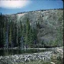 Slides of California Historical Sites. Horseshoe Lake and beaver dam, Mt. McKinley National Park, Alaska