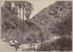 [Indio and Palm Canon, California] (2 views)