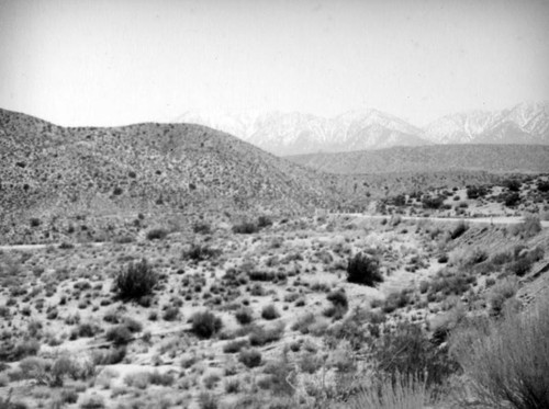 Mojave Desert vista