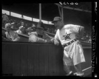Baseball Managers Fred Haney and Branch Rickey at Hollywood Stars baseball game, 1950