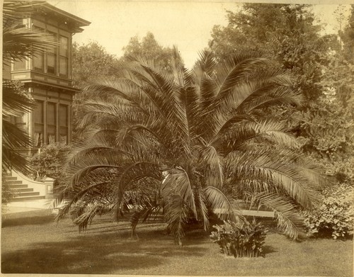 James A. Clayton at his house on 471 North First Street