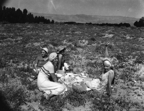 Women at picnic