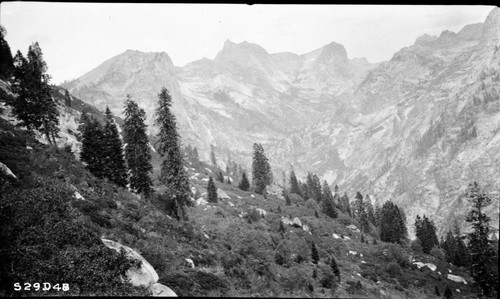 High Sierra Trail Investigation, Mt. Stewart, toward Hamilton Lake showing brushy area to be traversed