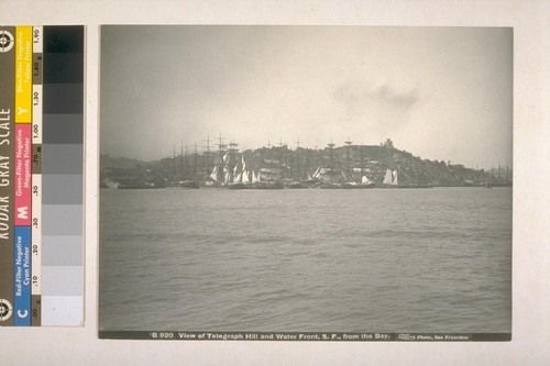 View of Telegraph Hill and Water Front, S. F. [San Francisco], from the Bay