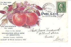 1913 Gravenstein Apple Show advertisement postcard, postmarked and with a 1 cent stamp
