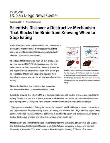 Scientists Discover a Destructive Mechanism That Blocks the Brain from Knowing When to Stop Eating