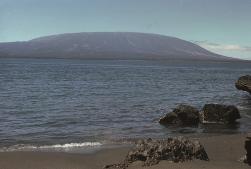 A view of the volcanic cone as seen during the Swan Song Expedition (1961) from \"Tagus Cove\" directly east of Fernandina Island on the west coast of Isla Isabela. Fernandina island, also known as Narborough Island, consists of a single large volcano, which rises to an elevation of 4500 feet (1400 m) and is probably the youngest volcano in the archipelago and is the most active. 1961