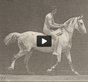 Horse Smith cantering, bareback with nude rider