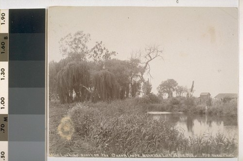 looking-north-on-the-guadalupe-near-the-lick-paper-mill-no-140-calisphere