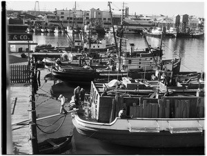 Fishing boats preparing to leave Los Angeles Harbor