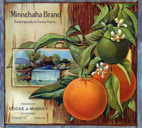 Crate label, "Minnehaha Brand." Packed specially for Eureka Fruit Co. Packed by Cocke & Murray. Riverside, Calif