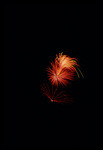 [Fireworks] (16 views)