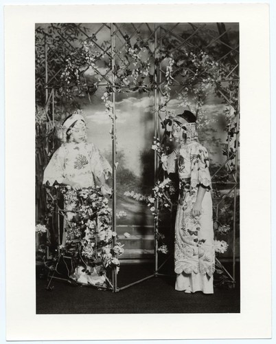 Two actresses in modern long embroidered gowns posed against bamboo arbor /