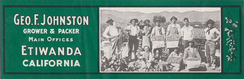 Geo F. Johnston crate label – Etiwanda, California