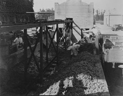 Virginia Dare Winery negatives