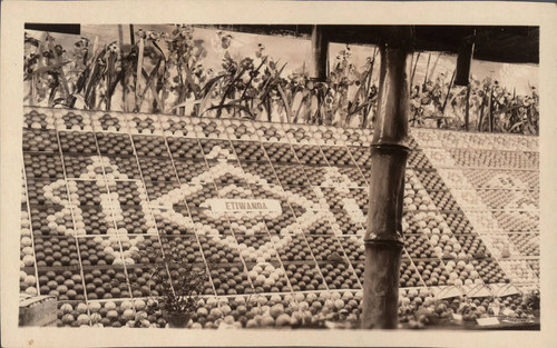 Postcard of Etiwanda citrus