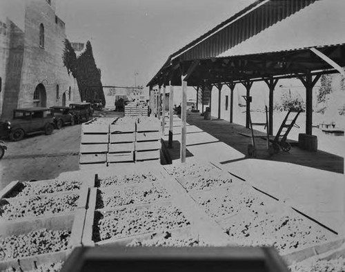 Virginia Dare Winery negatives