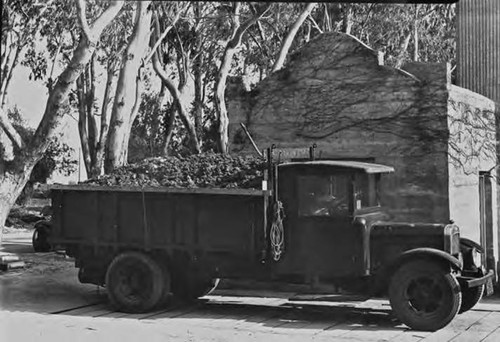 Virginia Dare Winery negatives