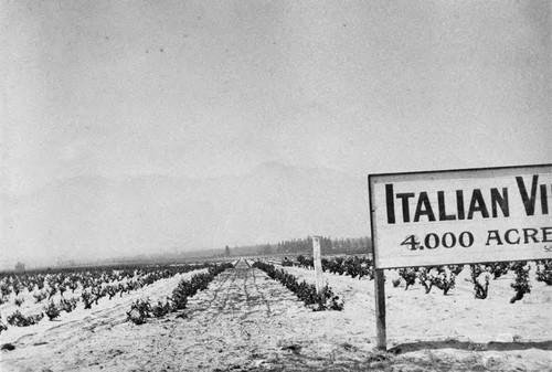 Photograph of Cucamonga Winery (Mission Winery) donated during John Russell Heath interview