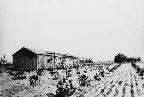 Photograph of Cucamonga Winery (Mission Winery) donated during John Russell Heath interview