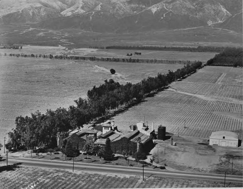 Virginia Dare Winery negatives