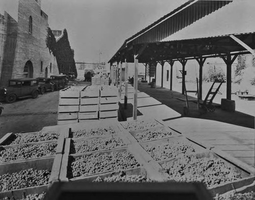 Virginia Dare Winery negatives